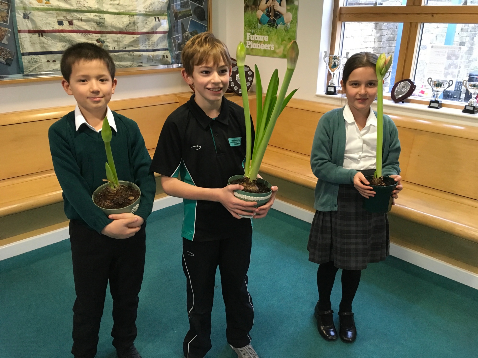 Junior School pupils with amaryllis bulbs