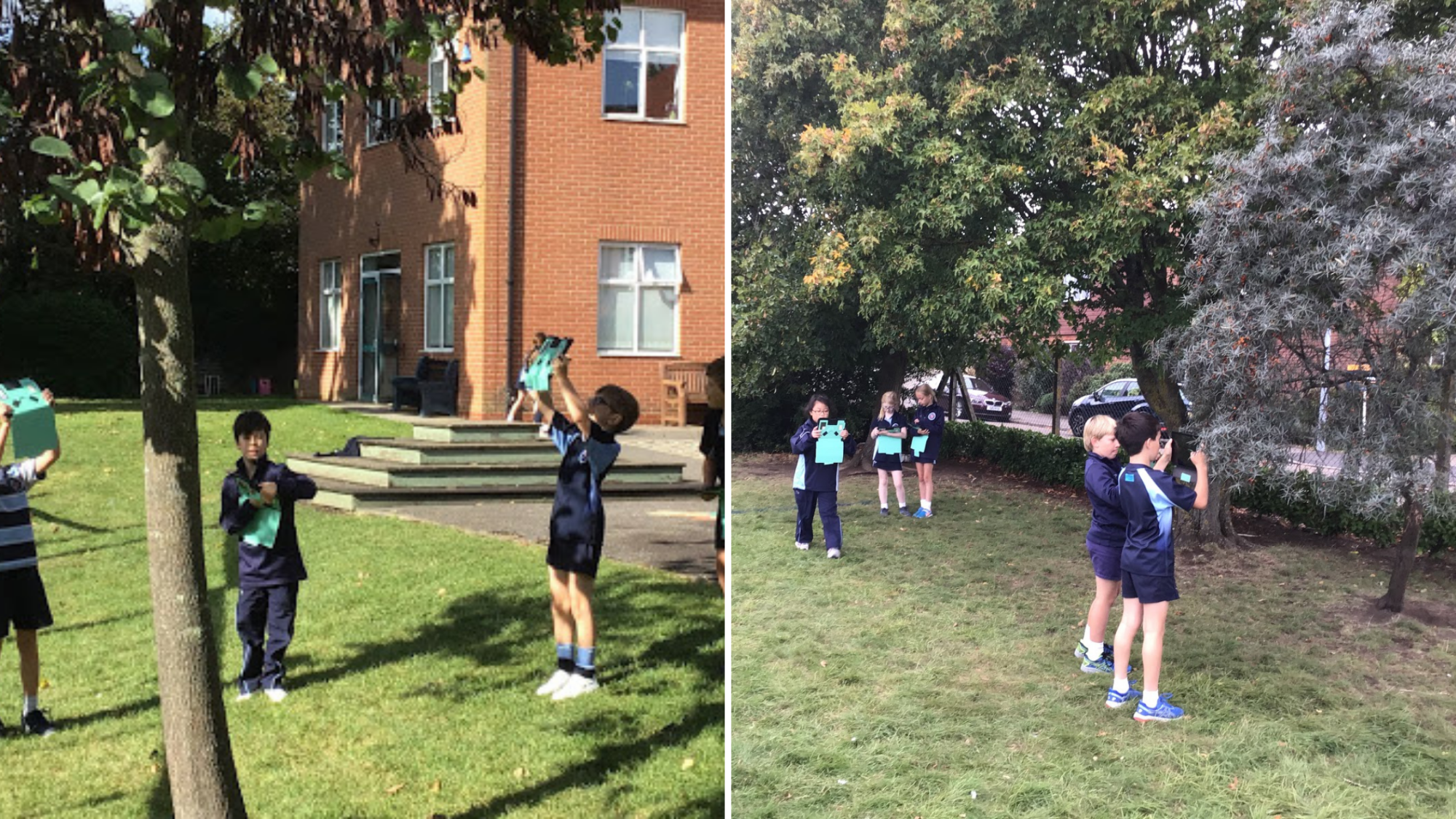 Pupils looked around site for different habitats