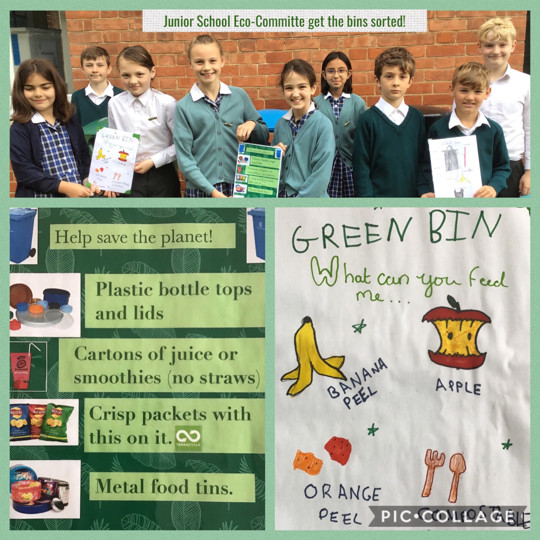 Junior School achieve Bronze Award from Eco-Schools