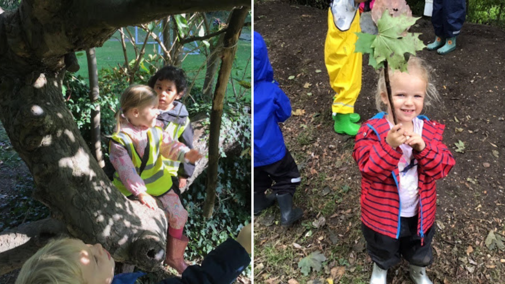 Classes have been learning the 'stick rule' at forest school