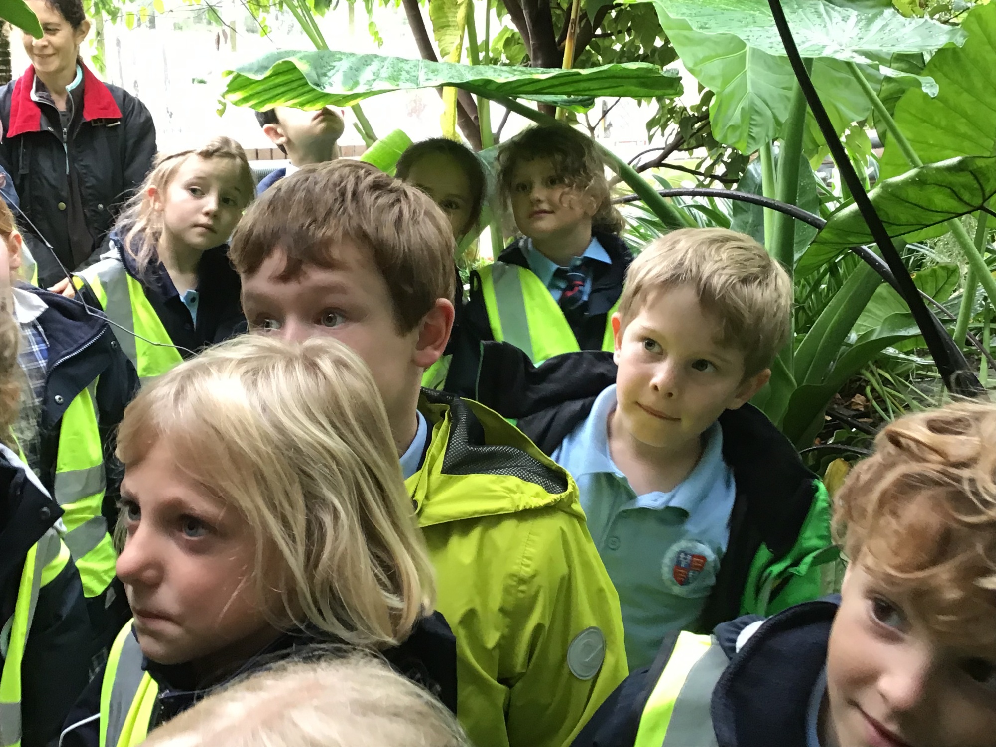 Year 3 trip to the botanical gardens