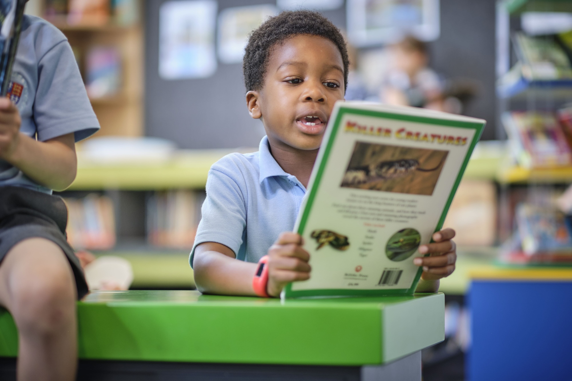 Pupil reading in the library