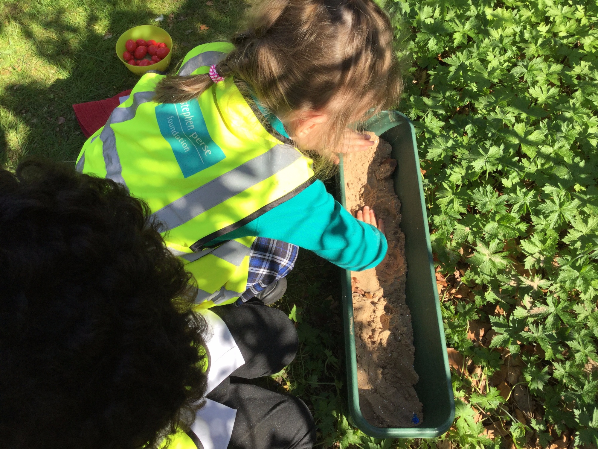 Outdoor learning 