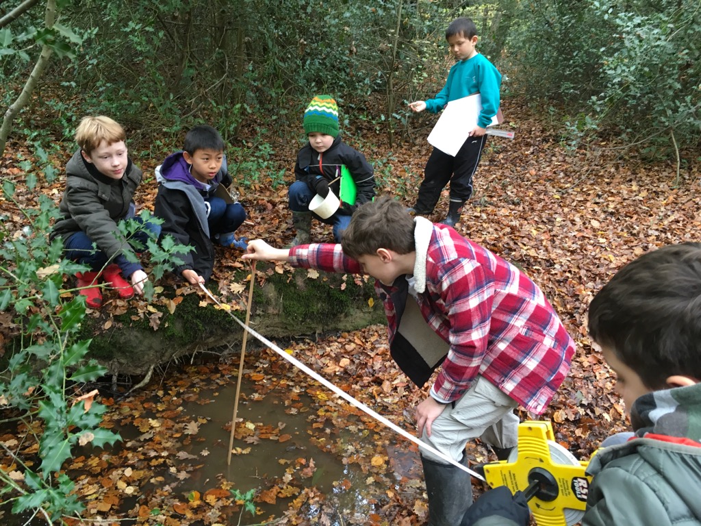 Yr 5 measuring at Epping Forest