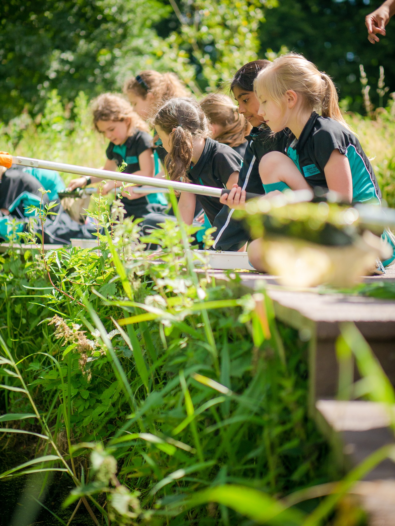 Junior School Pupils Pond dipping