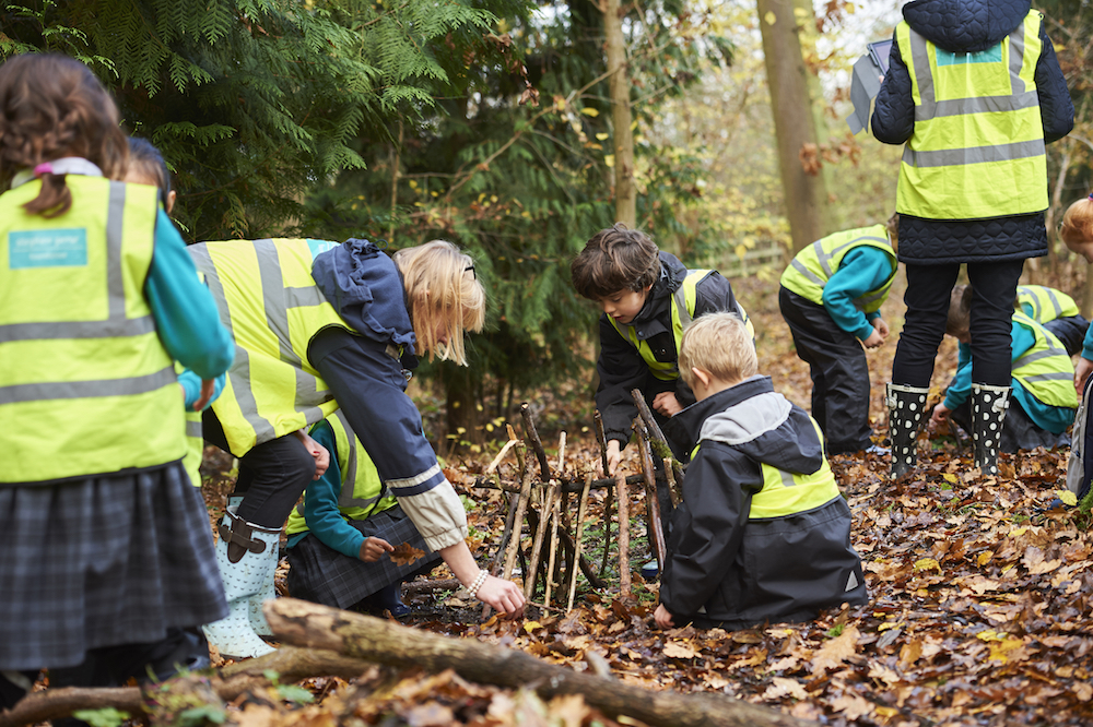 Nature reserve and forest school