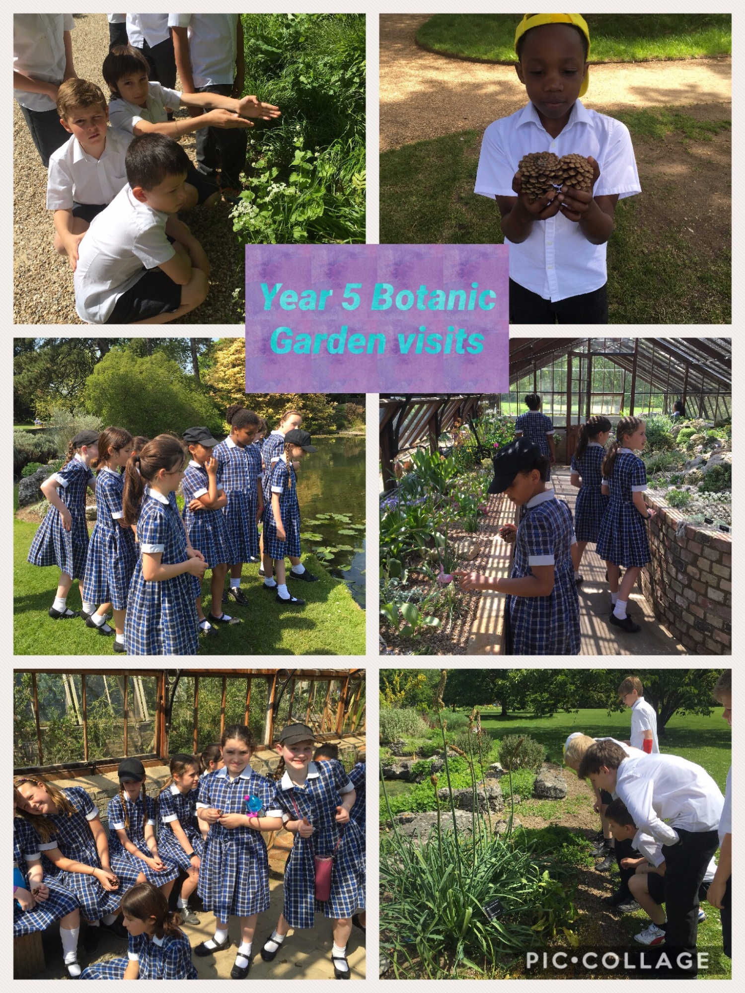 Botanical gardens