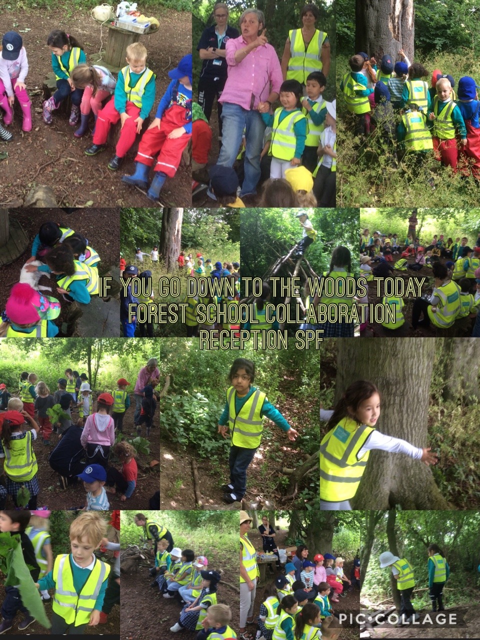 Forest School