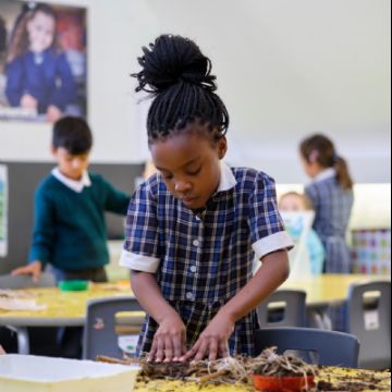 Creative curriculum