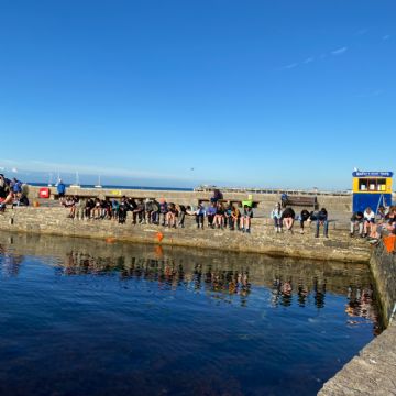 IMG3963