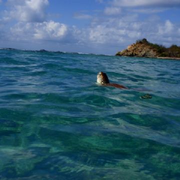 Rachel-Glinsman-9H-Learning-is-interacting-with-our-environment-and-discovering-the-world-around-us.