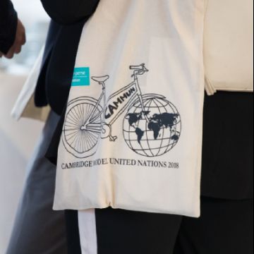 Cambridge Model UN 2018