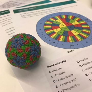 Human Genome Campus 2018 trip