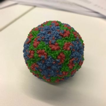 Human Genome Campus 2018 trip
