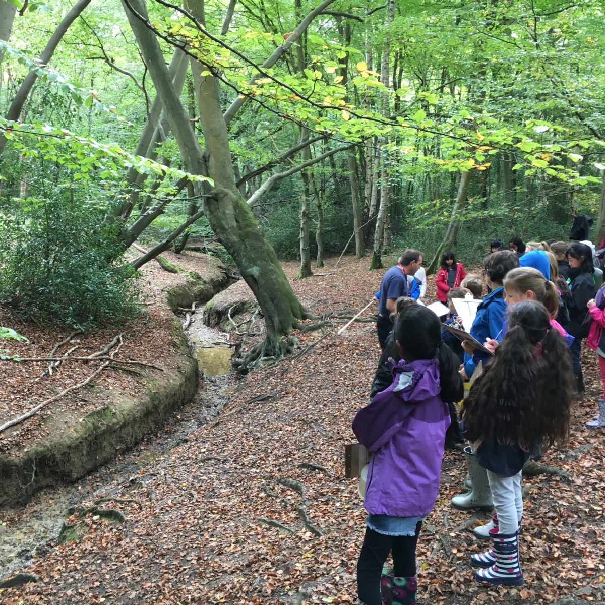 A trip to Epping Forest Field Centre with Year 5 Stephen Perse Foundation