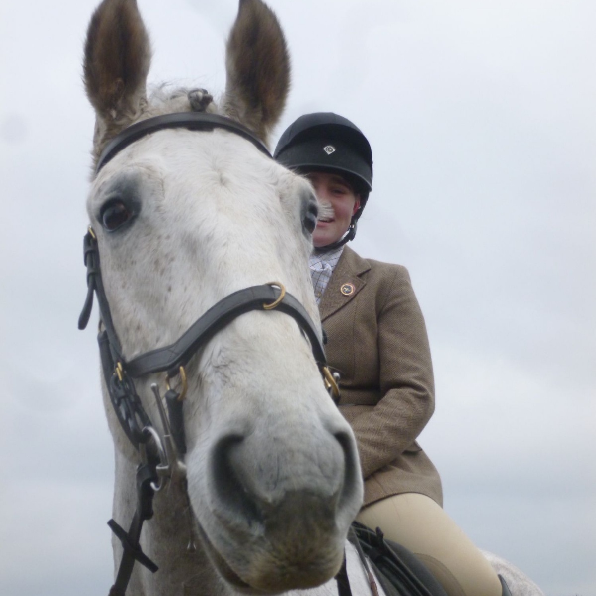 National Schools Equestrian Association Qualifiers success Stephen