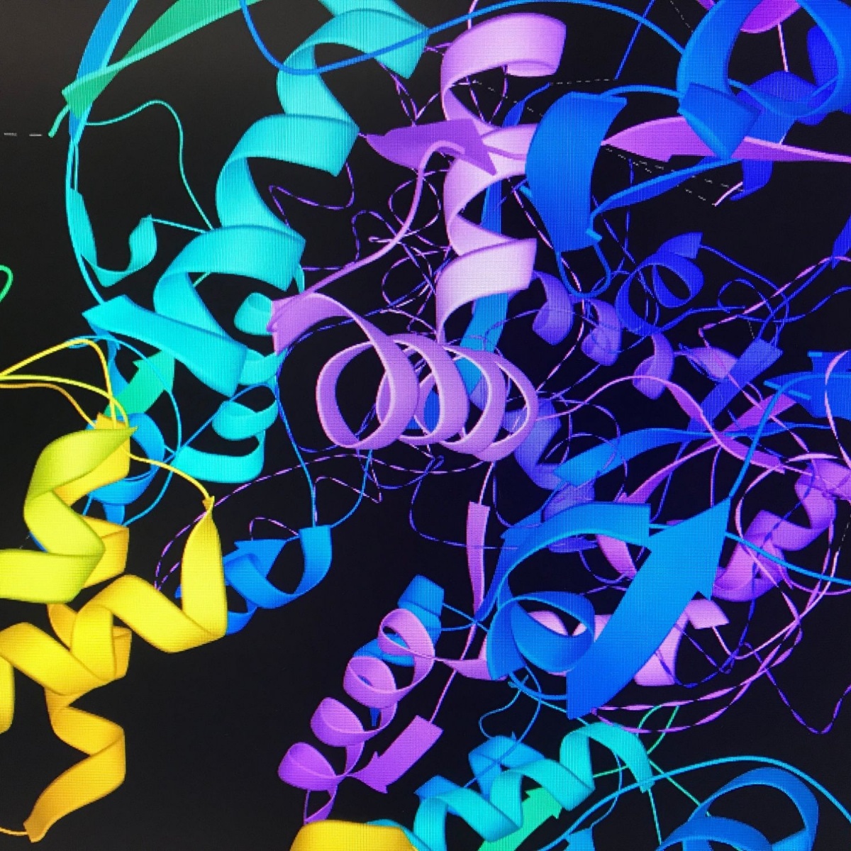 Protein Data Bank Europe project Stephen Perse Foundation