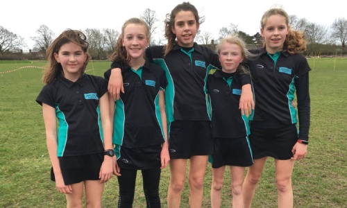 Latest News » Cross country runners overcome storm Brendan to chase fantastic results